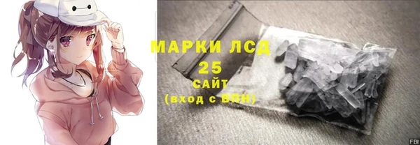 хмурый Алзамай