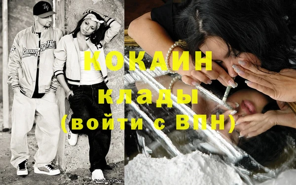 хмурый Алзамай