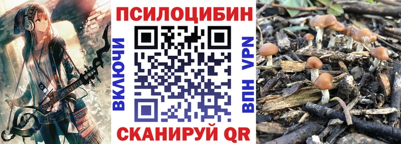 Галлюциногенные грибы Psilocybe  hydra онион  Десногорск 
